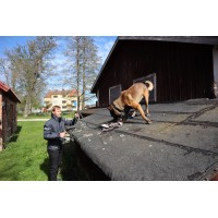 Swe-security i Mälardalen Logo