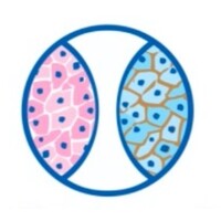 Instituto de Anatomia Patológica (IAP) Logo