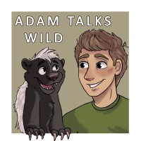 TalksWild Logo