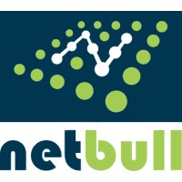 Netbull IT Services Ltd Logo