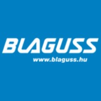 Blaguss Business Travel Logo