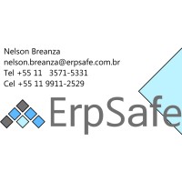 ErpSafe Consultoria em Gestão Empresarial e Negócios Logo