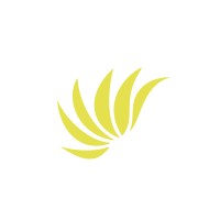 UBN Professional Services Logo