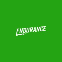 Endurance Logo