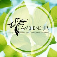 Ambiens Jr. Consultoria e Soluções Ambientais Logo