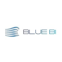 BlueBI Solution Logo