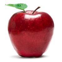 Pleasanton Tutoring Logo