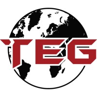 TransEmerge Group Logo