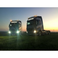Stewart International Transport Logo