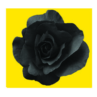Goddess Advertising Pvt. Ltd. Logo