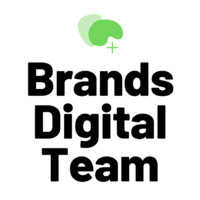 BDteam.io Logo