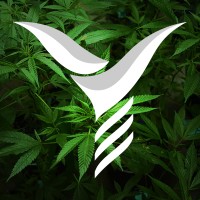 Ygeia Essentials Logo