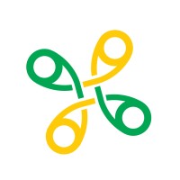 Net Brazil Logo
