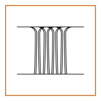 Princeton School of Public and International Affairs Logo