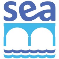 Strategy Execution Advisors LLC Logo