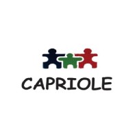Capriole Financial Advisors Pvt. Ltd. Logo