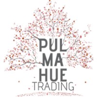 Pulmahue Trading Logo