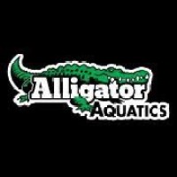 Alligator Aquatics USA Swim Club Logo