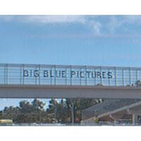 BIG BLUE PICTURES Logo