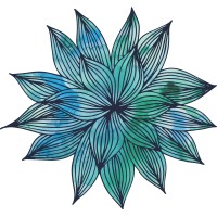 Bloom Media Strategies LLC Logo