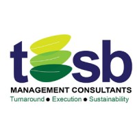 TESB Management Consultants Logo
