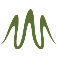 Artist Waves Logo