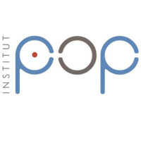 Institute Psychodynamic Organization Developement + Human Resource Management Dusseldorf Logo