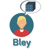 Bley Performance Digital Logo