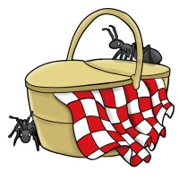RedCheck Pest Solultions Logo
