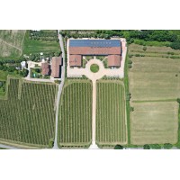 Guerrieri-Rizzardi Logo