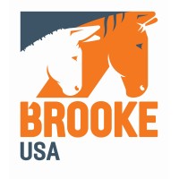 Brooke USA Logo