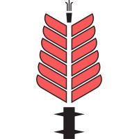 Ocotillo Law & Policy Partners, LLP Logo