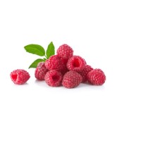 Jules Gourmet Catering Logo