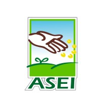 ASEI El Salvador Logo