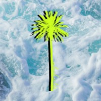 No Beach No Life Logo