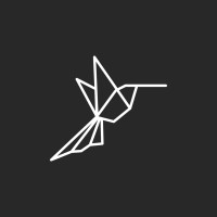 FLAPZ - Private Aviation Reimagined Logo