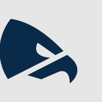 Charlotte Eagles Logo