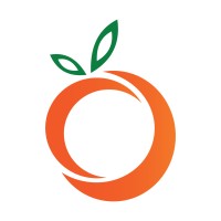 ORANGO SOLUTIONS Logo