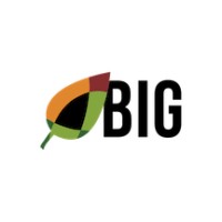 Blacks In Green Logo