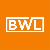 Business Website Leader Logo