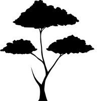 3tree Growth Limited Logo
