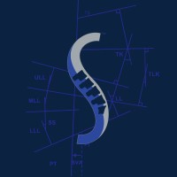 Surgalign Logo
