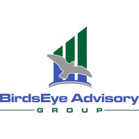 BirdsEye Advisory Group Logo