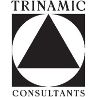 Trinamic Consultants Logo