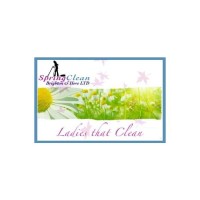 Spring Clean Logo
