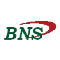 BNS ANALYTICS Logo