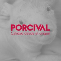 Porcival Logo