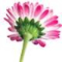 TempCPA, Inc & Blüte Financial Coaching Logo