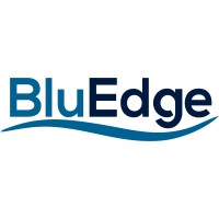 BluEdge Services Logo