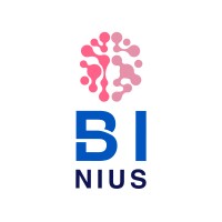 BINIUS - Business Intelligence Solutions Logo